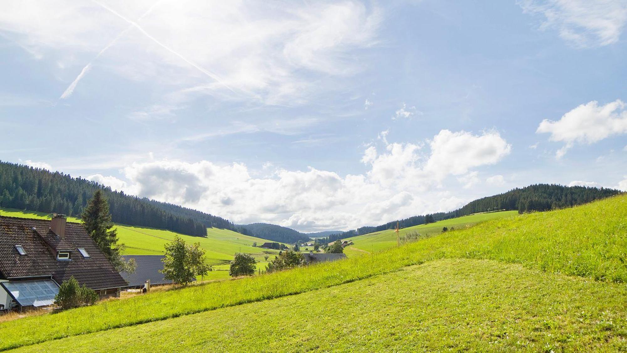 Haus Zum Sternen Vöhrenbach Exterior foto